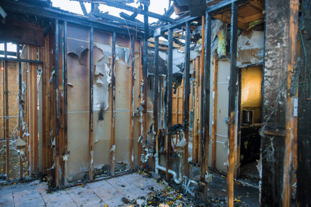 Professional Odor Removal technician working in Central, TN
